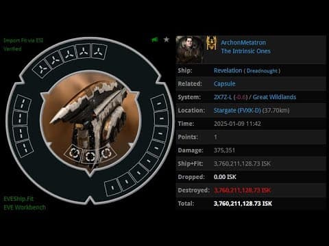 [EVE ONLINE / AMC] 09 JAN 2025 Killed revelation in Great Wildlands