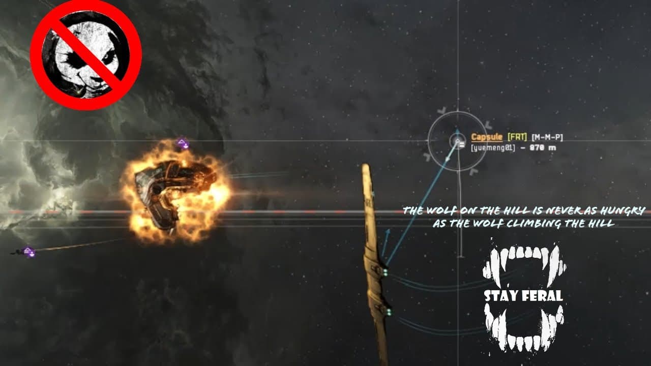 EVE Online PVP - Killing Panda Ratting Bots