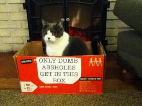Agamula is in a pickle, is he a man? DARKESHI