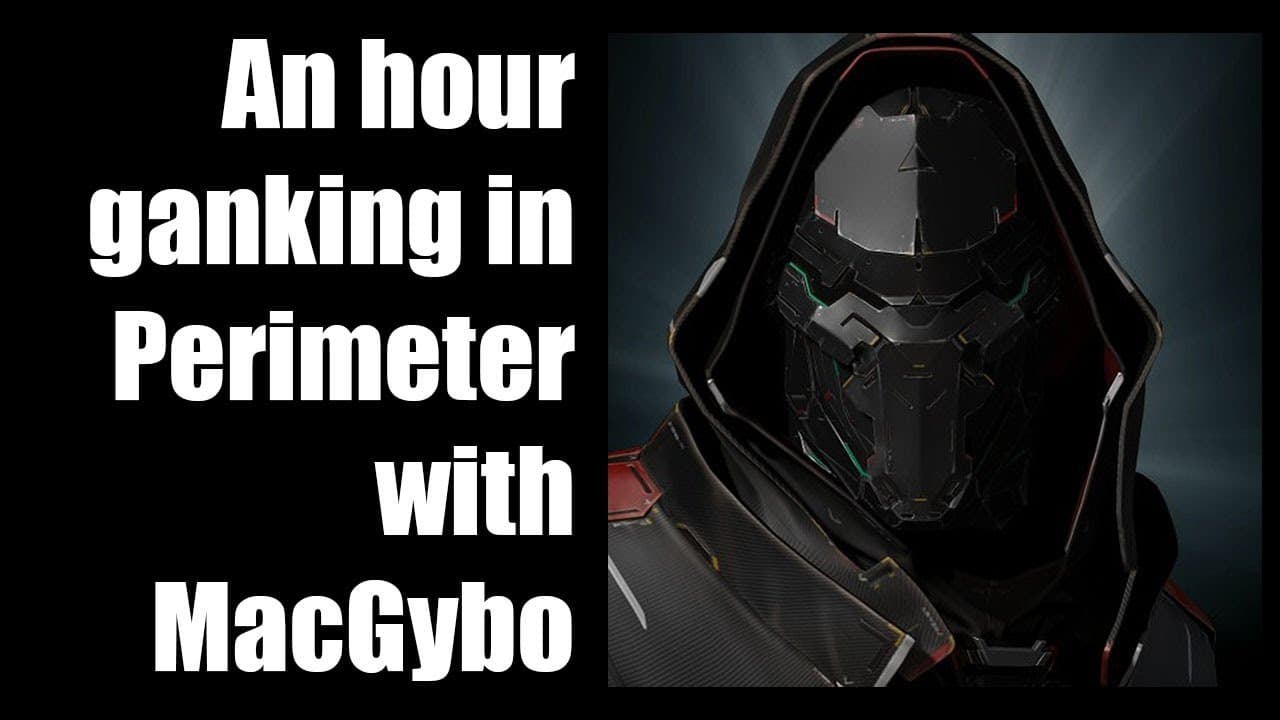 Eve Online : Ganking In Perimeter