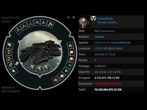[EVE ONLINE / AMC] 21 JUN 2024 Killed Nyx in Great Wildlands
