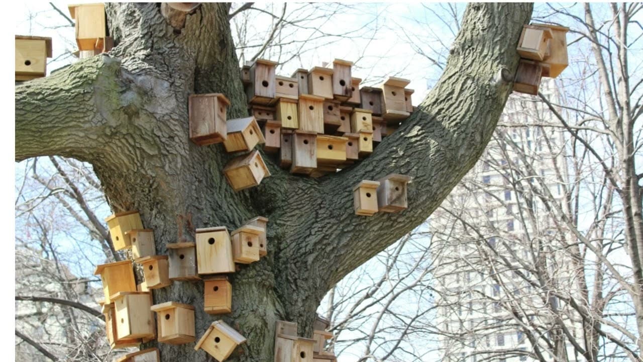 The Birdhouse is Recruiting!